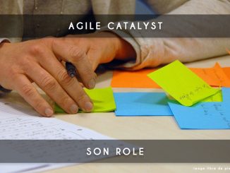 agile catalyst