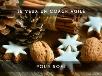 coach agile noel