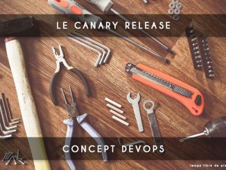 canary release