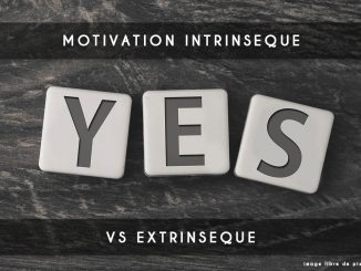 motivation intrinsèque vs extrinsèque