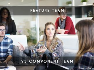 feature team vs compenent team
