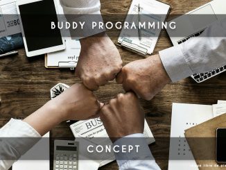 buddy programming