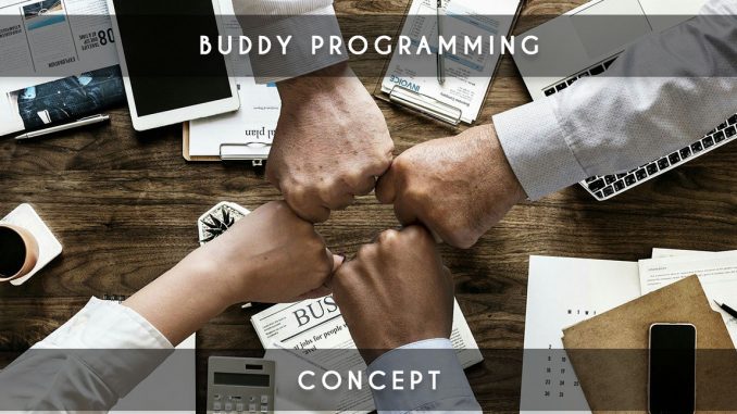 buddy programming