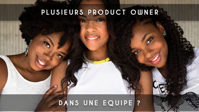 plusieurs product owner