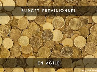 budget agile